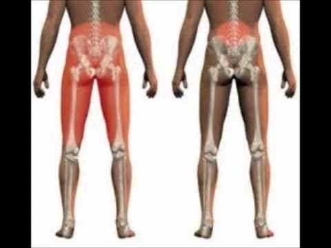 nervio ciático - Dolor en el nervio ciatico FB: https://www.facebook.com/farmacialasaludable?ref=hl.