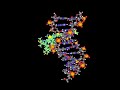 Bleomycin  Cancer Bleomycin