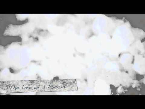 how to eliminate psocids