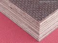 BAYOU PLYWOOD BAYOU PLYWOOD