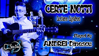 ANDREI DINESCU - Certe Notti (Ligabue)