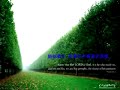 www.jesuslovesong.info...