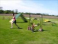 Fixx (Agility)