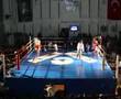 k-1 kickboks k-1 kickbox hasan karlı