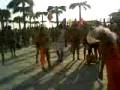 videos de Kazantip marriage
