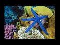 EDFN320-edkosior.wmv EDFN320-edkosior.wmv