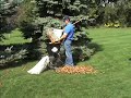 Electric Wood Chipper Leaf Shredder Shredding Leaves