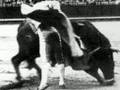 A la muerte de don Juan Belmonte: Nicomedes Santa Cruz