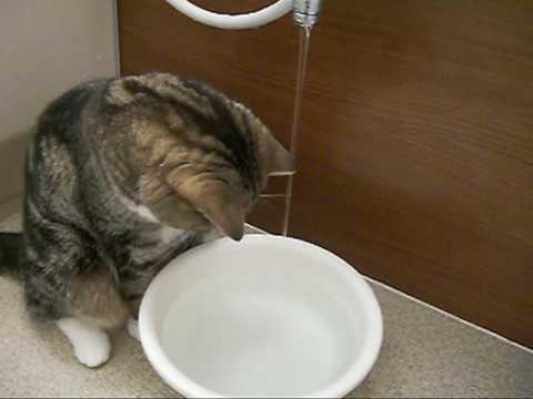 Imagem de Amostra do You Tube