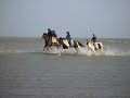 Horses Beach Horses Beach