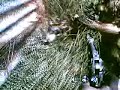 HD TV video game advantage. COD 4 example. HD TV video game advantage. COD 4 example.