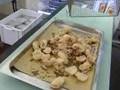 San Benedetto - Festeggiamenti per il patrono