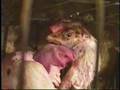 Bird Flu