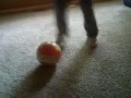 tricks ever