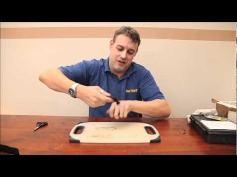 how to collect lugworm