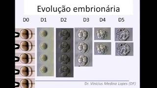 Vinicius Medina Lopes-2