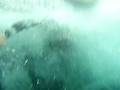 Routeburn Canyon -- Jump
