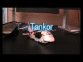 transformers universe classics tankor review