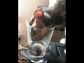 IMG_4291.MOV