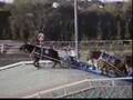 第33回 ばんえいダービー(2004年9月19日、岩見沢競馬場)