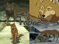 videos de wolf's rain