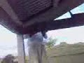 Iron Saves Cat - No Fire Brigade Necessary Iron Saves Cat - No Fire Brigade Necessary