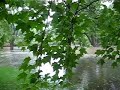 Farnsworth House Flood