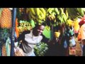 March� � Nurawa Eliya (Les htes Terres)