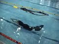 Gaspare Battaglia Apnea Dinamica 165,60 mt. C.I. Roma 2004