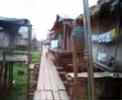 Iquitos