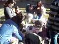Caniche video