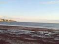 Red Tide in Newport