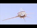 Strange Craft in California