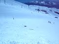 Palo esquiando