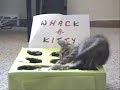 Whack-A-Kitty 2 - free flv video @ vwatch.tv