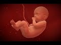 Miracle of Love  ( 2 )   euritmics