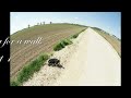 take the dog for a walk - part 1