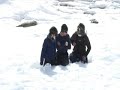 Cronin Wilkes Gets Stuck in a Crevasse