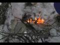 Emergency Shelter Fire With Birch Bark Paul Tarsitano