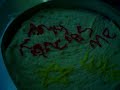 cake-decorating-fun-with-fondant.html