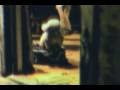 buffalo bill dance (goodbye horses cover)