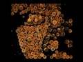 Pine cones - Goodbye Art