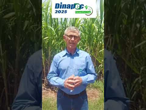 Sistema Diamantino - Consórcio de sorgo biomassa com gramíneas forrageiras