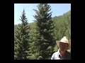 Wild Resiliency!