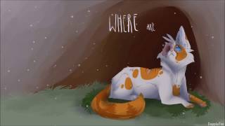 Warrior Cat PMV MAP  Faded