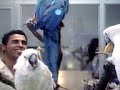gran hermano 9 momento con los pajaros