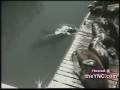 videos de funny seal