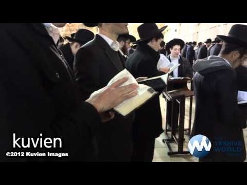 Daven for Rav Elyashiv Shlita Daven for Rav Elyashiv Shlita