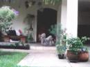 recep-o-calorosa-da-teca-.html