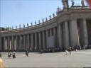 I had a bird shot at me while at St. Peter\